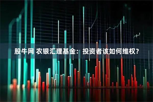 股牛网 农银汇理基金：投资者该如何维权？